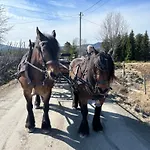 20 Min From Sjusjoen, 30 Min From Lillehammer And Hamar, 2h From Oslo