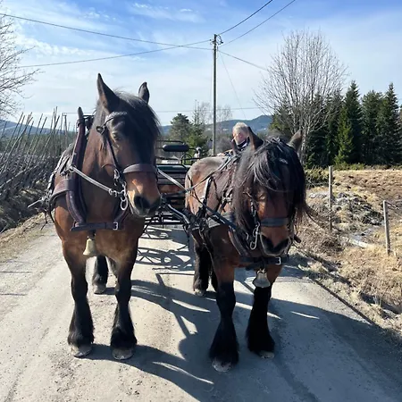 20 Min From Sjusjoen, 30 Min From Lillehammer And Hamar, 2h From Oslo