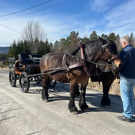 בית נופש 20 Min From Sjusjoen, 30 Min From Lillehammer And Hamar, 2h From Oslo