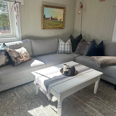 Feriehus 20 Min From Sjusjoen, 30 Min From Lillehammer And Hamar, 2h From Oslo