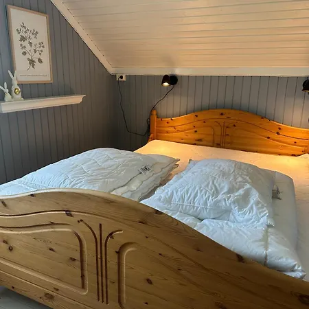 Feriehus 20 Min From Sjusjoen, 30 Min From Lillehammer And Hamar, 2h From Oslo Sjusjøen